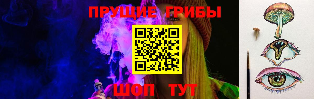купить наркотики сайты  Вход с VPN  Краснотурьинск  Галлюциногенные грибы Psilocybe 